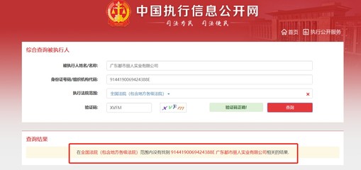 全国法院被执行人信息网