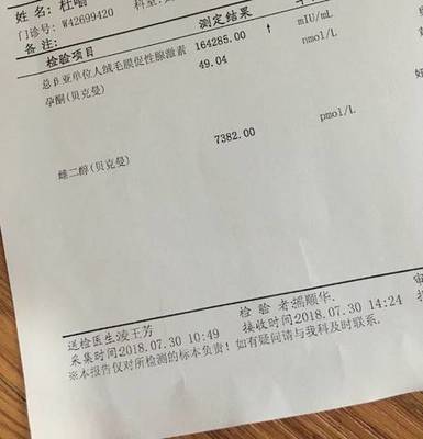 染色体平衡易位孕9个月