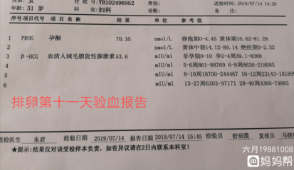 怀孕需要验血吗