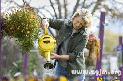 孕妇梦见浇花