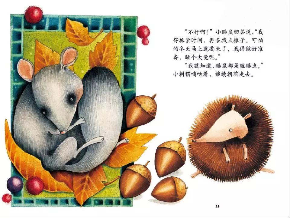 小刺猬是怎么睡的