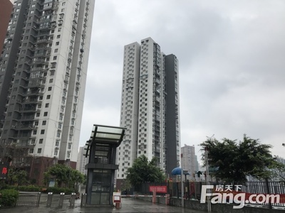重庆九龙坡怎么样