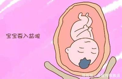 怎么知道胎儿是否入盆