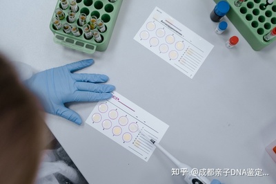 亲子鉴定多久出结果