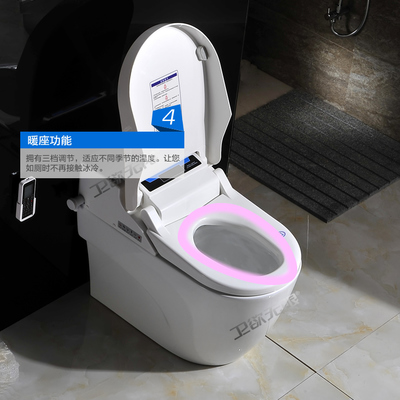 自动清洗马桶