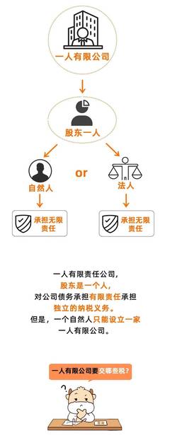 公司法人和股东的区别
