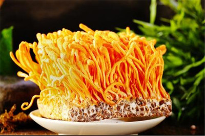 瑶柱孕妇可以吃吗