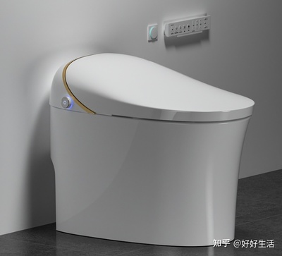 国产智能马桶什么品牌好