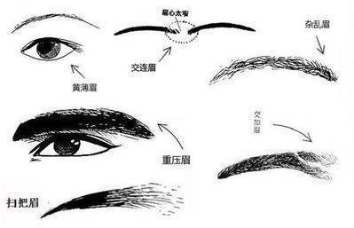 从眉毛看面相