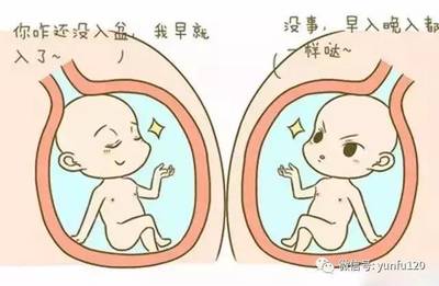 孕晚期胎儿姿势