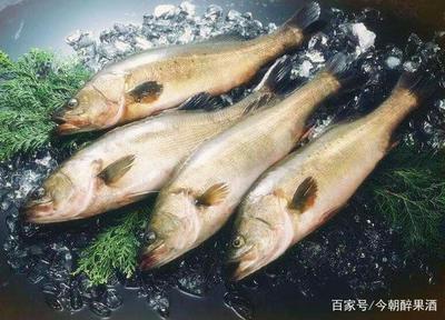 孕妇可以吃鲤鱼