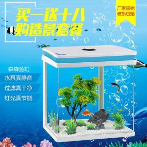 十大龍魚（十大龍魚魚缸品牌）