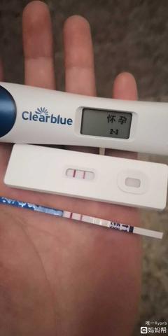 怀孕怎么算周数