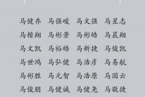 马姓男孩名字大全