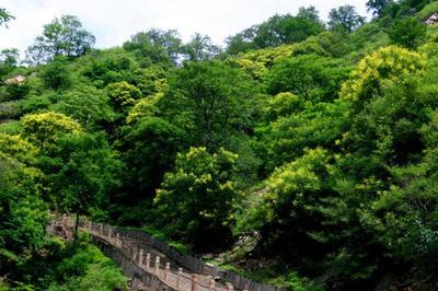 天津九龙山游玩攻略