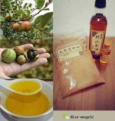 坐月子吃茶油好吗
