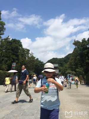 东京 亲子 自助游攻略