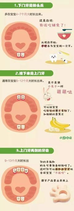 新生儿出牙顺序