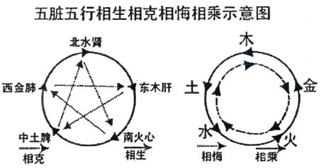 五行相乘是什么意思