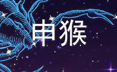 2013年属什么星座