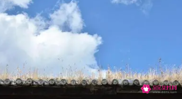梦见自己房子漏水