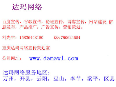 重庆万州网络推广