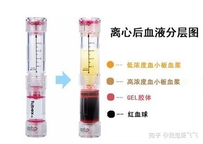 水光针三文鱼和菲洛嘉哪个好