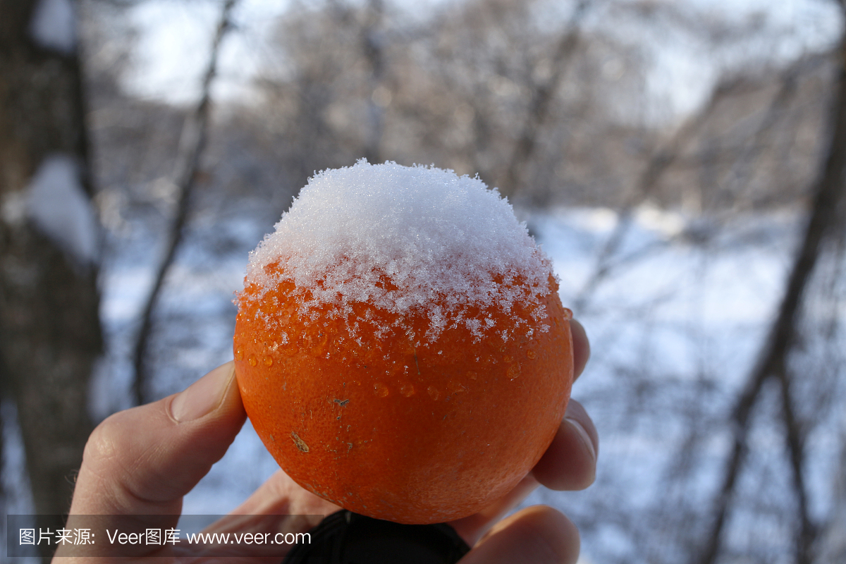 橘子冬天放在室外怕冻吗