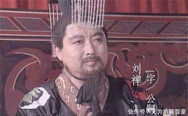 后世怎么评价刘婵