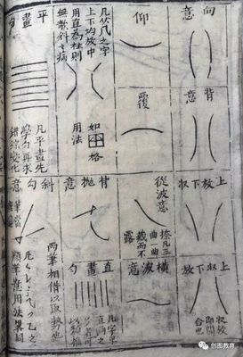 先字怎么介绍