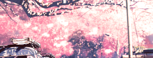 天书世界多少级建家族