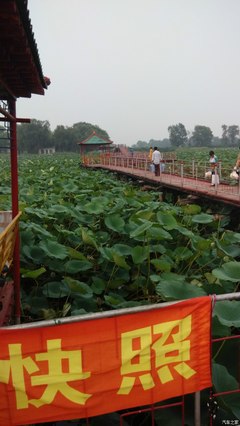 沈阳西湖