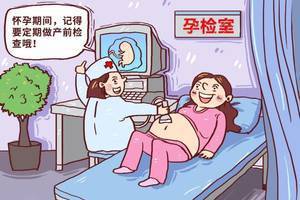 后入容易怀孕