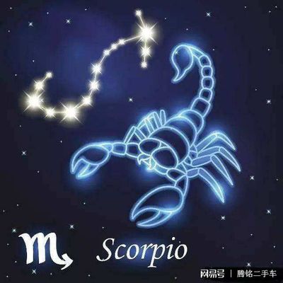 10 22星座