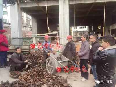 巴中劳动局电话