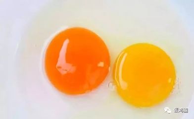 蛋黄颜色深浅有什么区别