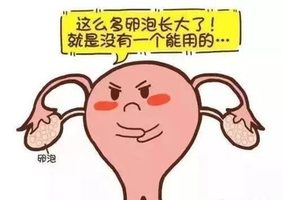 卵巢多囊样改变怎么治疗