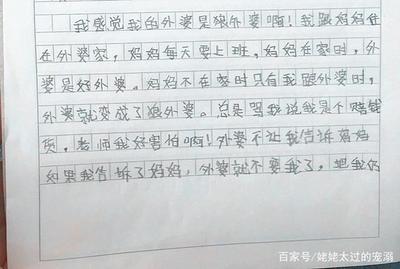 我想对姥姥说450字作文怎么写