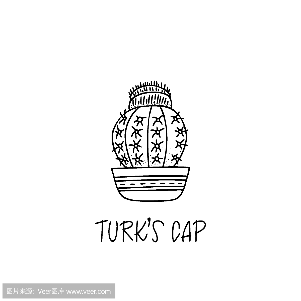 土耳其帽仙人掌装饰壶在涂鸦风格与手写标题.