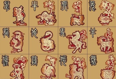 老鼠和鸡属相合不合