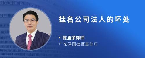 当公司法人好处和坏处