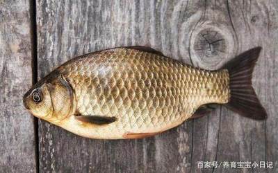 为什么怀孕不能吃鳗鱼