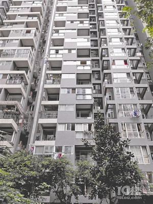 买房子11楼好不好