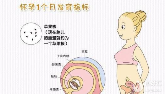 刚怀孕一个月怎么打掉