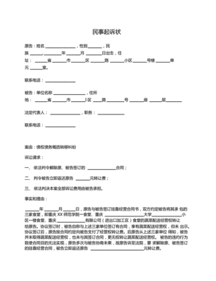 债务纠纷起诉状