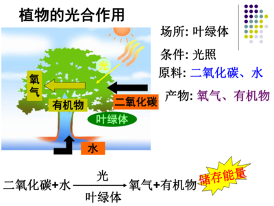 作用和功能的区别