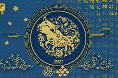 牛年是什么命