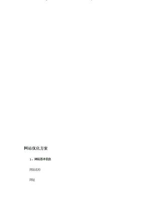 网站优化方案模板以及方案策划书.doc