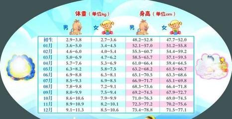 宝宝身高增长速度