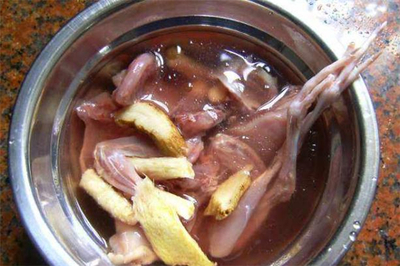 孕妇能吃鹌鹑肉